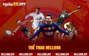 Thể thao Hello88